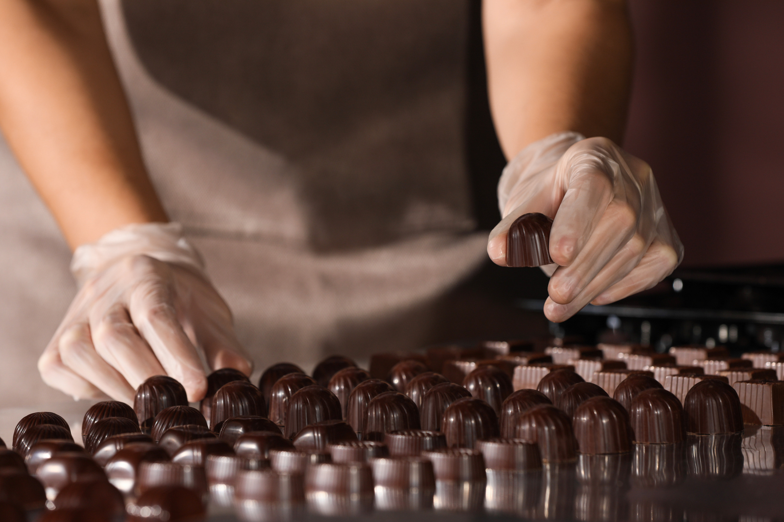 chocolate trading business